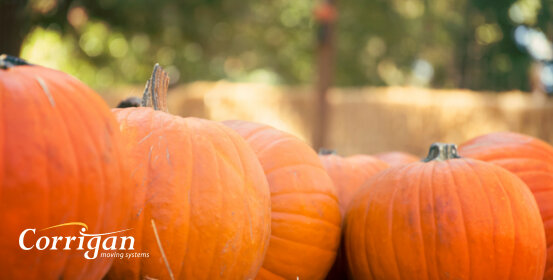 Kennywood Phantom Fall Fest